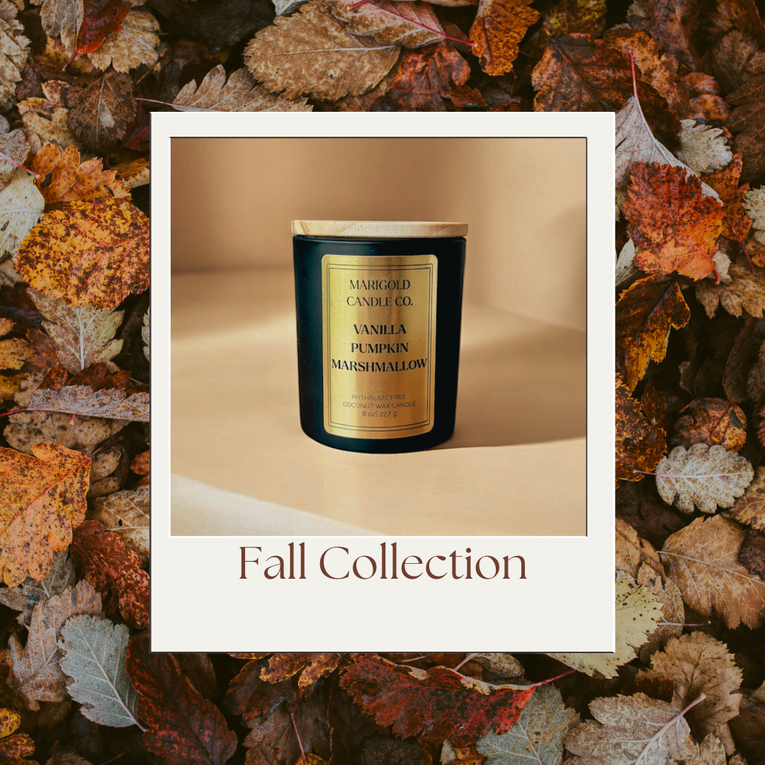The Fall Collection